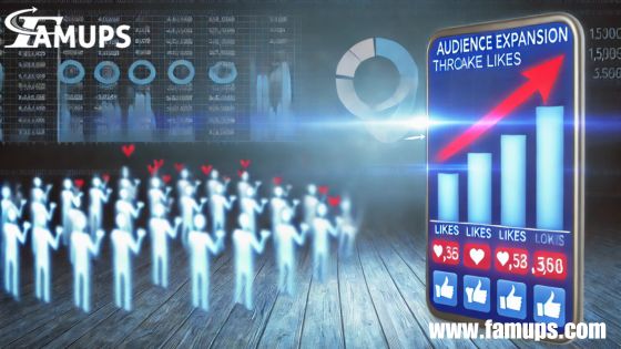 Audience Expansion Fake Likes