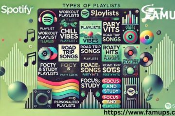 Playlists Can You Have on Spotify