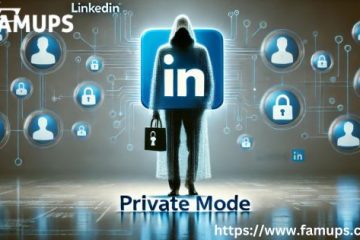 LinkedIn Private Mode