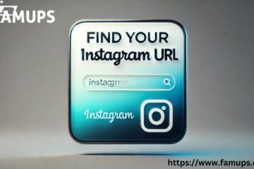 Find Your Instagram URL